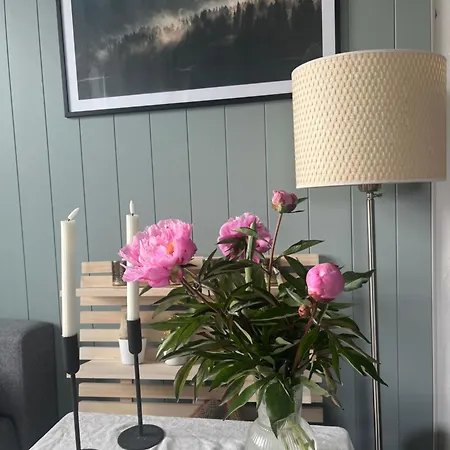 アパート Stor Og Lys Med Sentral Beliggenhet Og Gratis Parkering *